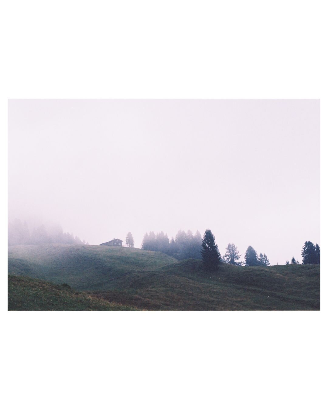 Steep pastures, on top a wooden cabin and conifers that appear through the mist and clouds that crawl over the hills. Strong contrast between the dark greenish pastures, the silhouettes of the trees and the bright misty sky light