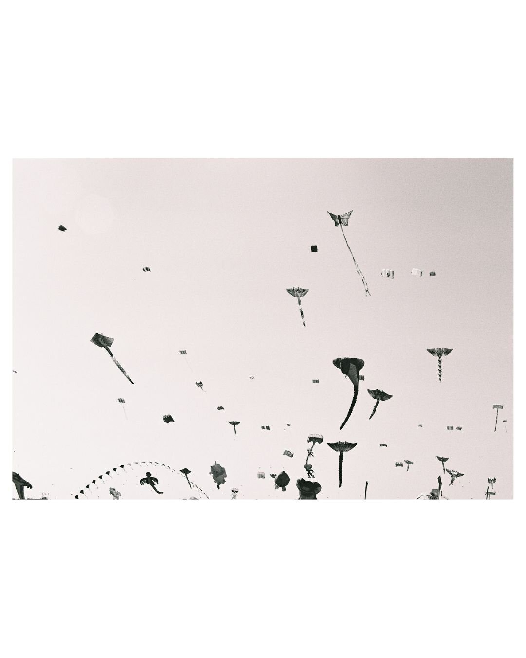 black and white photograph showing a bright sky full of floating kites with long tails and different shapes. Sky appears slightly reddish