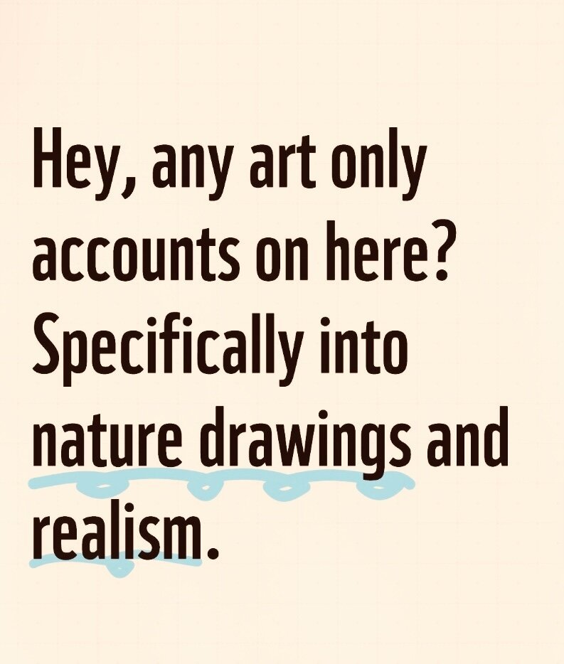 Seeking recommendations for art accounts that specialize in nature drawings and realism.