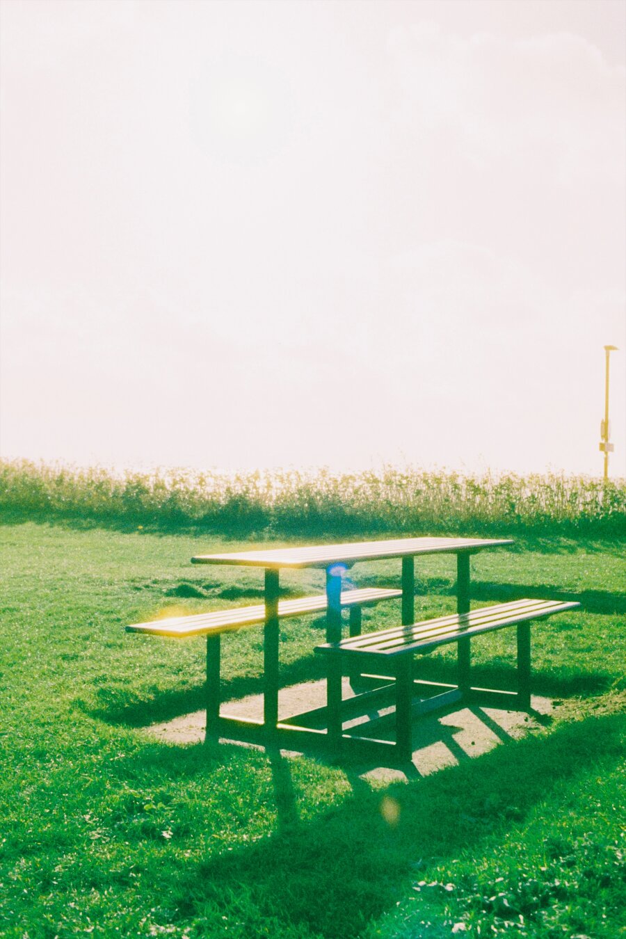 A Ben h on some grass, near a beach. The background is completely blown out and overexposed
