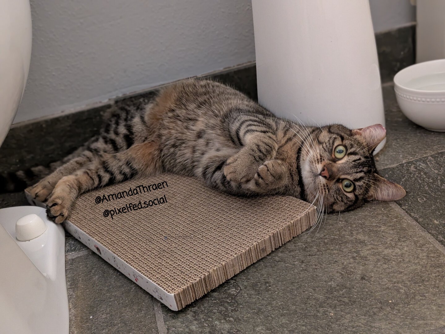 A brown tabby cat lying on her side between a cardboard scratch pads and a sink pedestal. Her front legs are loosely bent with paws kinda held together.