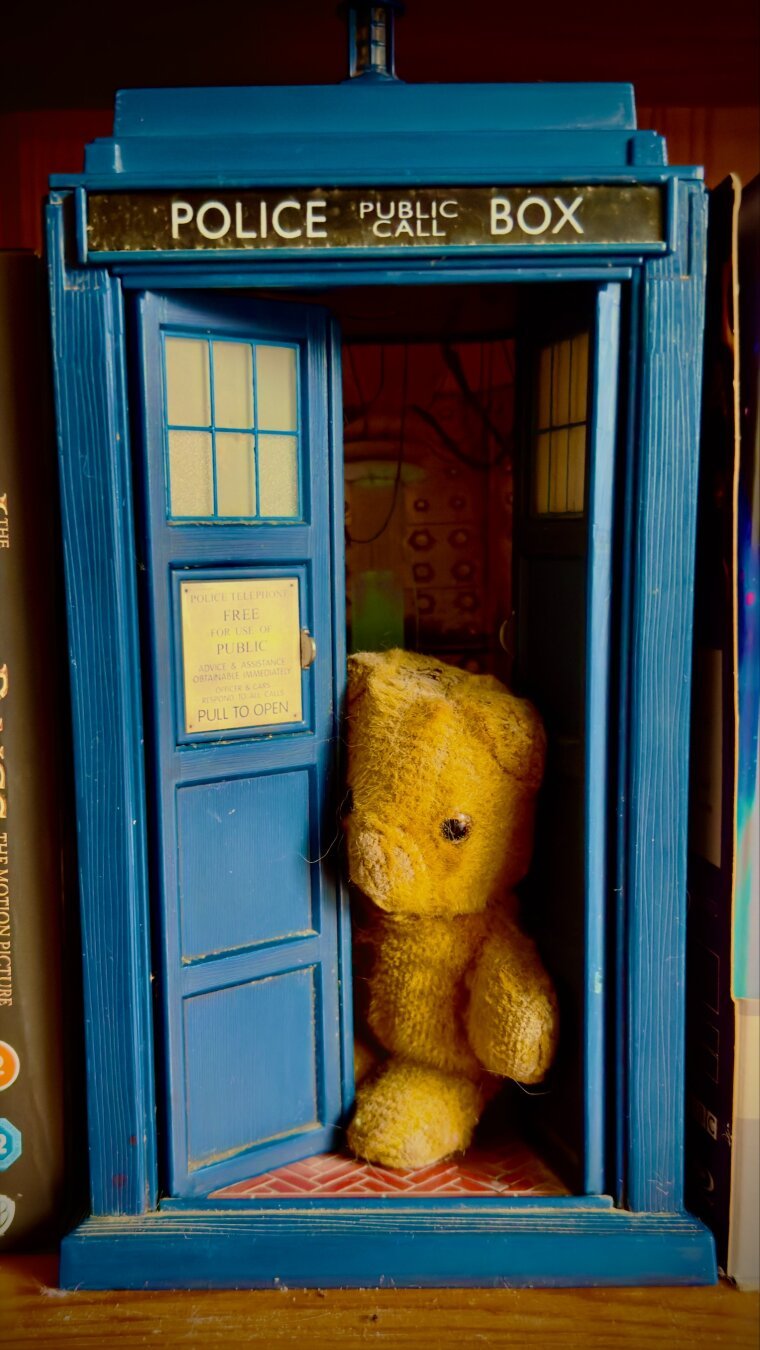 Tiny yellow teddy in TARDIS doorway.