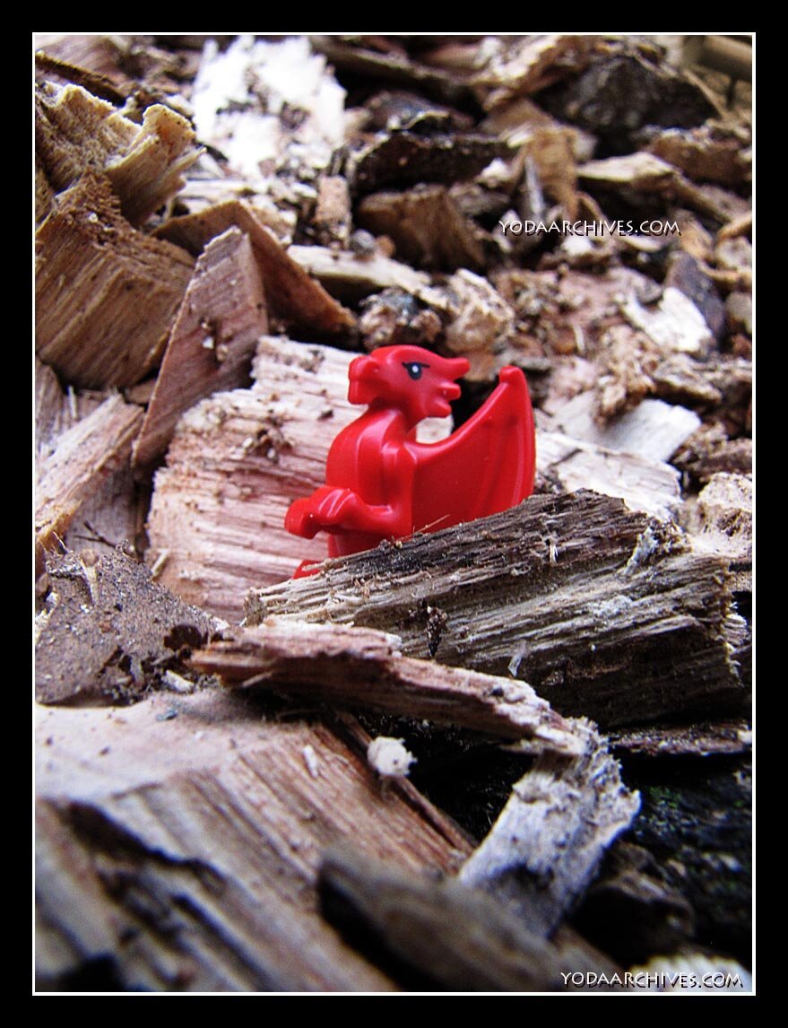 Tiny red dragon in a pile of wood chips.