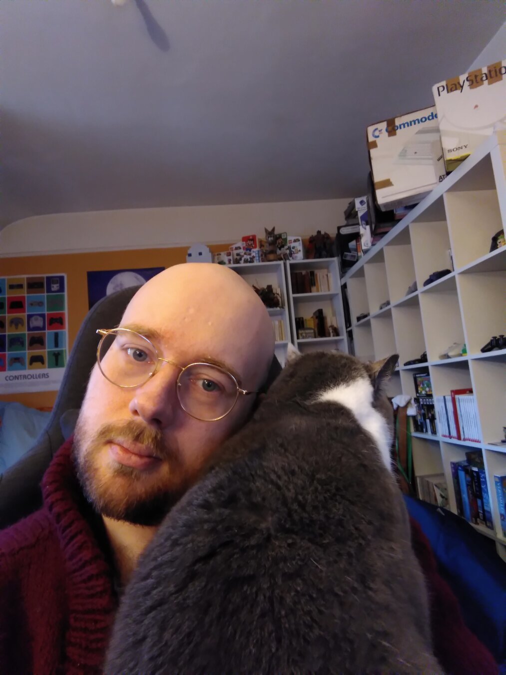 Selfie of myself (white, bald, with a beard, blue eyes) on my computer, with my cat Bergamote (grey and white) on my shoulder.