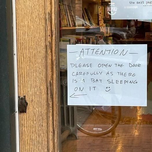 The entrance of The Next Page bookshop in Calgary, Canada, featuring a handwritten sign taped to the glass door. The sign reads: 'ATTENTION — Please open the door carefully as there is a bat sleeping on it 😊,' with an arrow pointing to the left. A small brown bat is curled up against the wooden door frame, peacefully resting. The cozy bookstore interior is visible through the glass, with shelves of books and a bicycle reflected in the window. A charming moment of urban wildlife finding an unexpected resting spot.