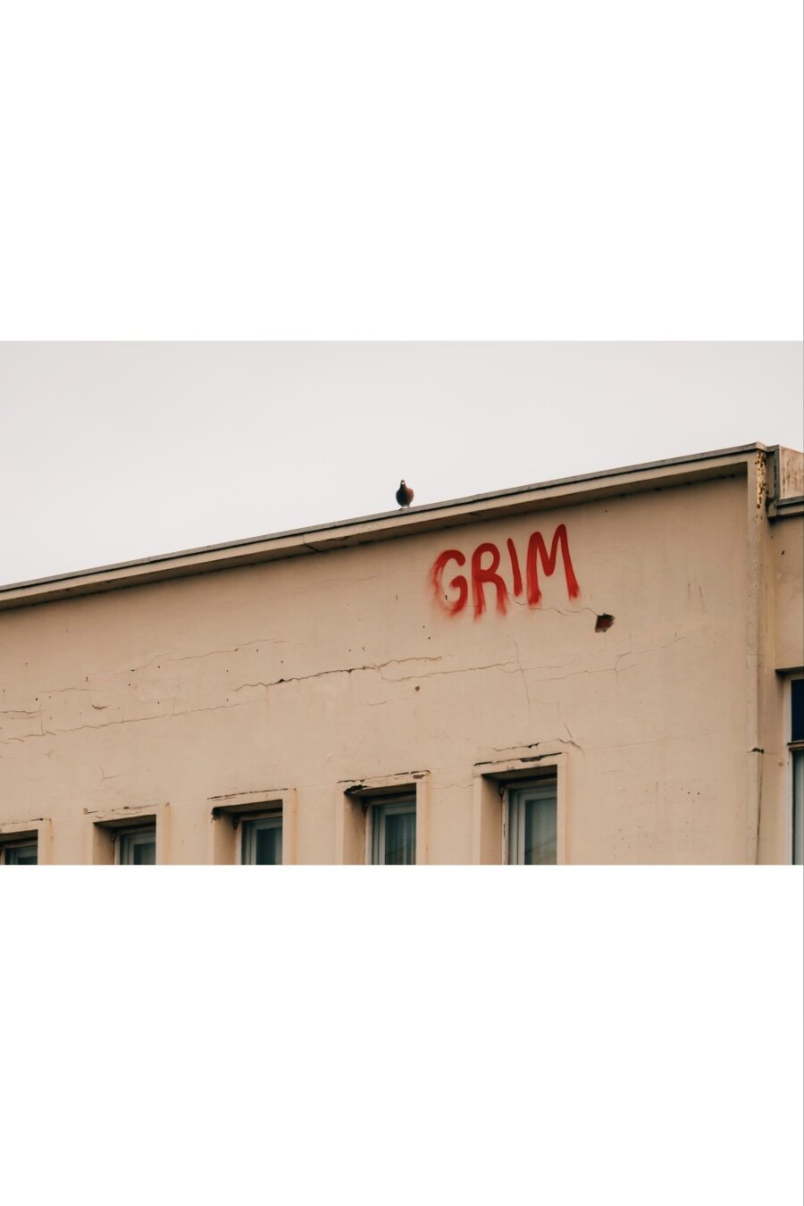 Wall with spray paint of text saying grim. Pigeon sitting above.
