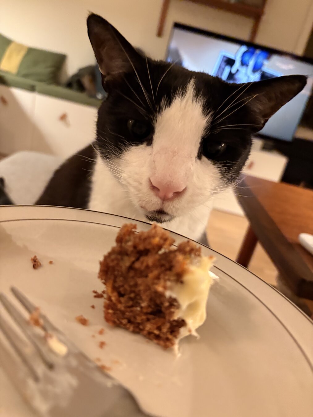Black and white cat looks/sniffs with a long face towards a plate that has a bit of carrot cake left of it.