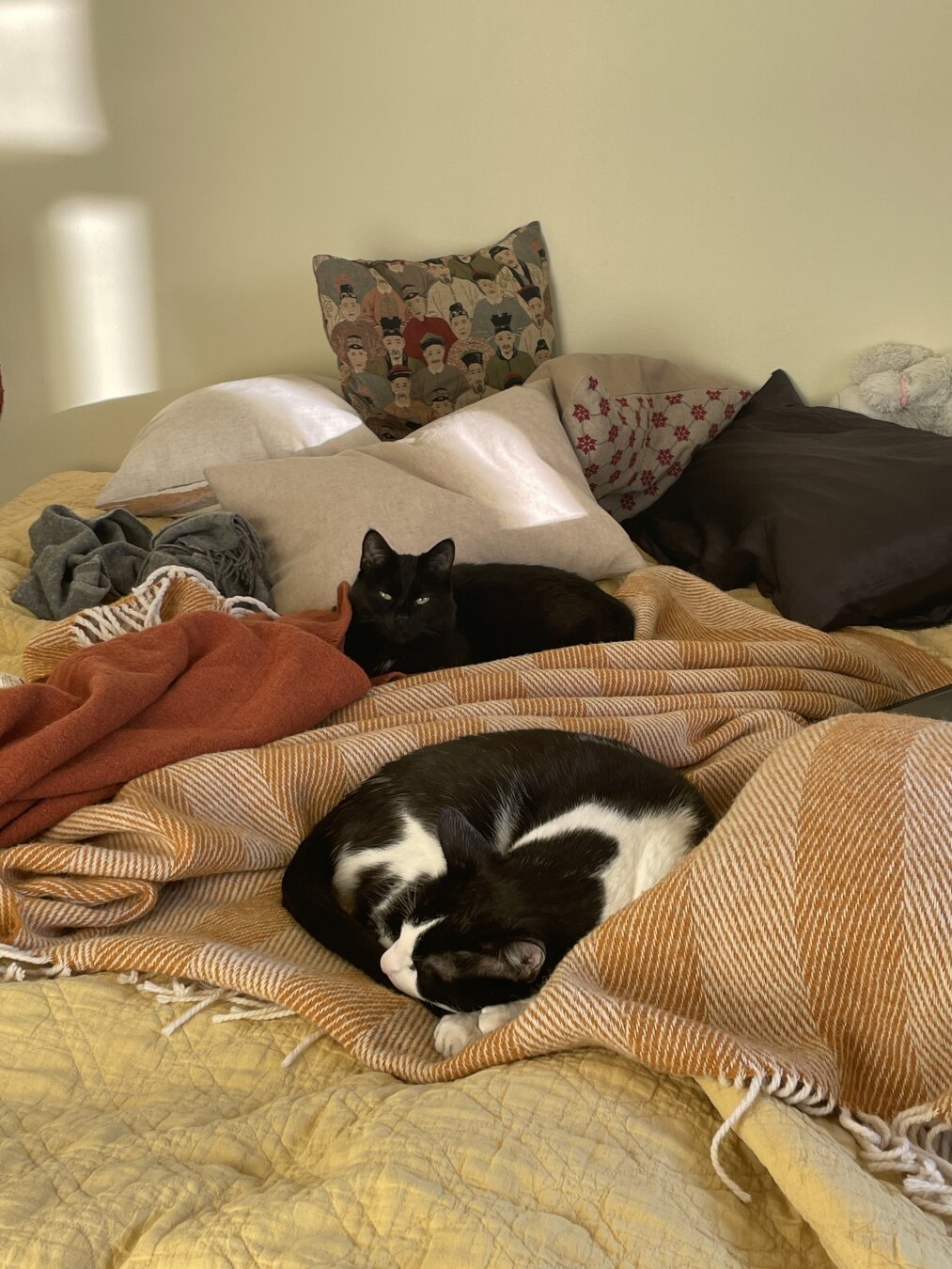 Black cat in the back of the picture and the black and white cat in the front of the picture. Black and white cat is sleeping in a curl and the black cat is looking at the camera with sleepy eyes. Bed has autumn coloured blankets and pillows on top of it and the sun is slightly shining in the room.
