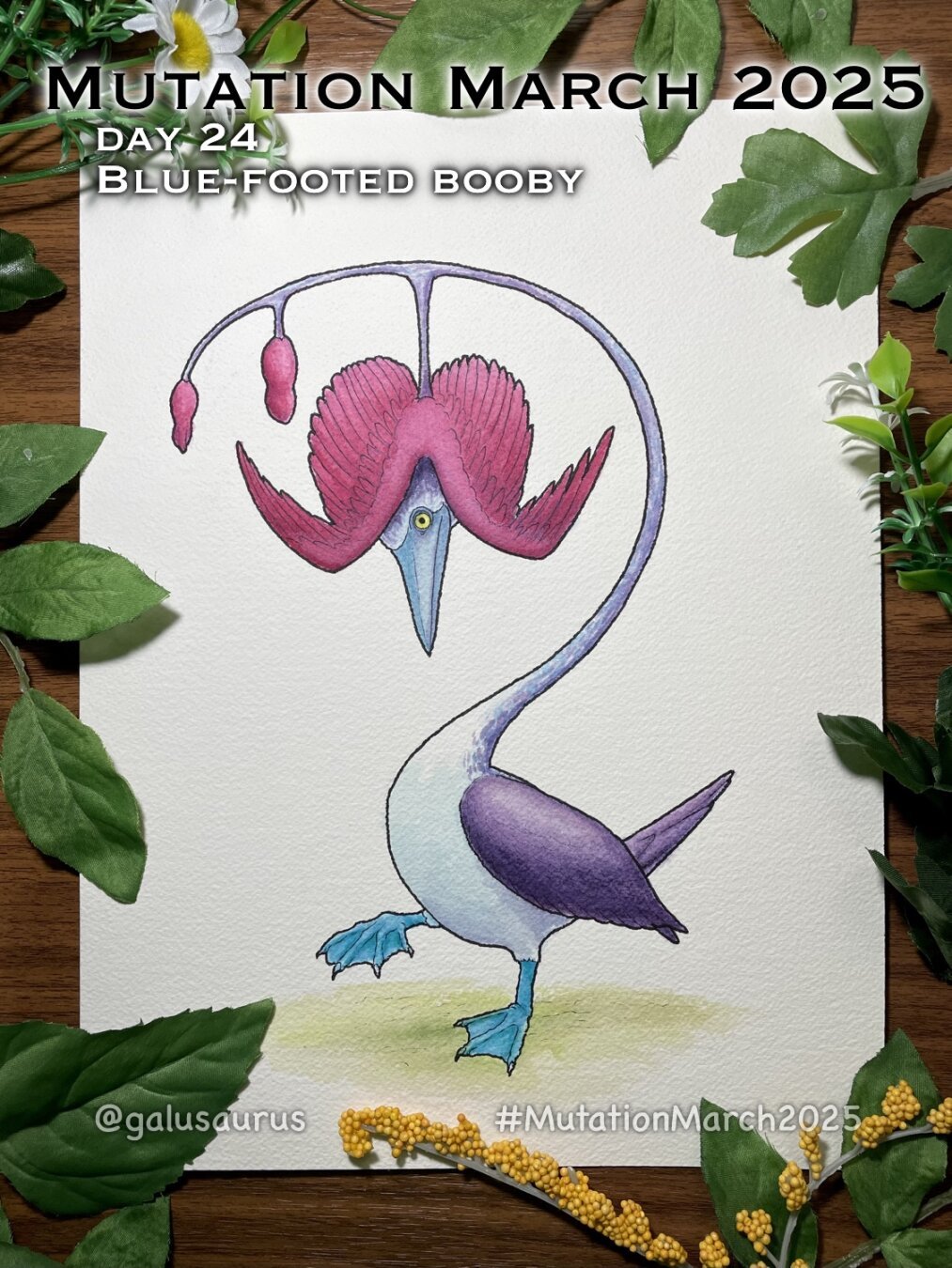 "Mutation March 2025, day 14 - blue-footed booby." Watercolor illustration of a strange bird. It is a blue-footed booby with a typical body and iconic blue feet, but the neck extends up and around into the thin stem of a bleeding heart flower. From it hangs two small pink flower buds, then a third one in bloom, the pink petals extending out as wings and inside peeks out the head of the bird.