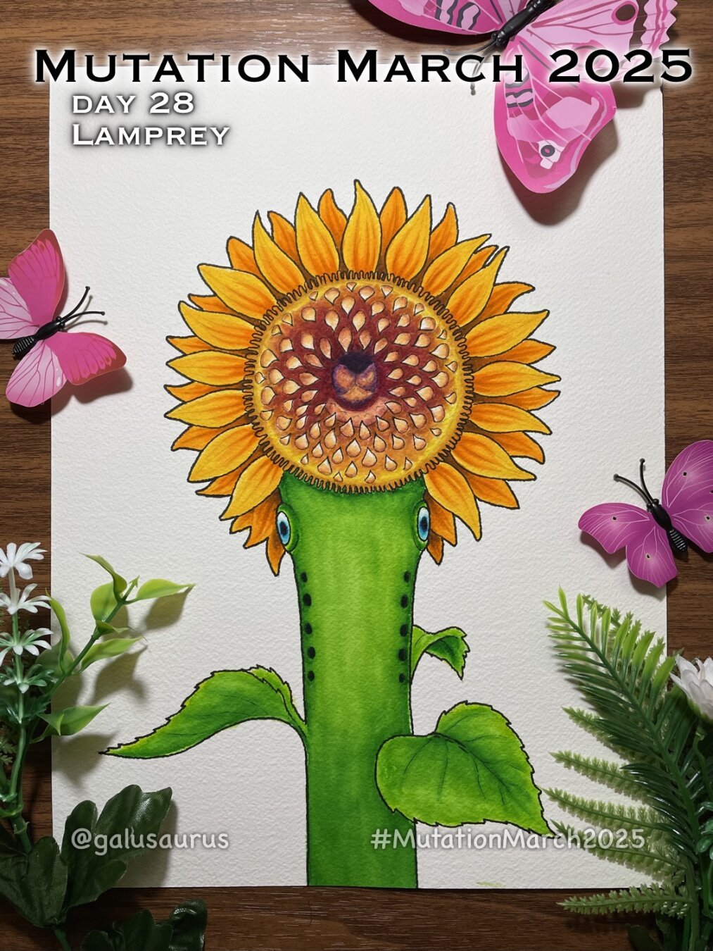 "Mutation March 2025, day 28 - lamprey." Marker illustration of a sunflower. However, it is also a lamprey--the center of the flower head is the iconic mouth of a lamprey with its many teeth. Two eyes are seen just below the petals.
