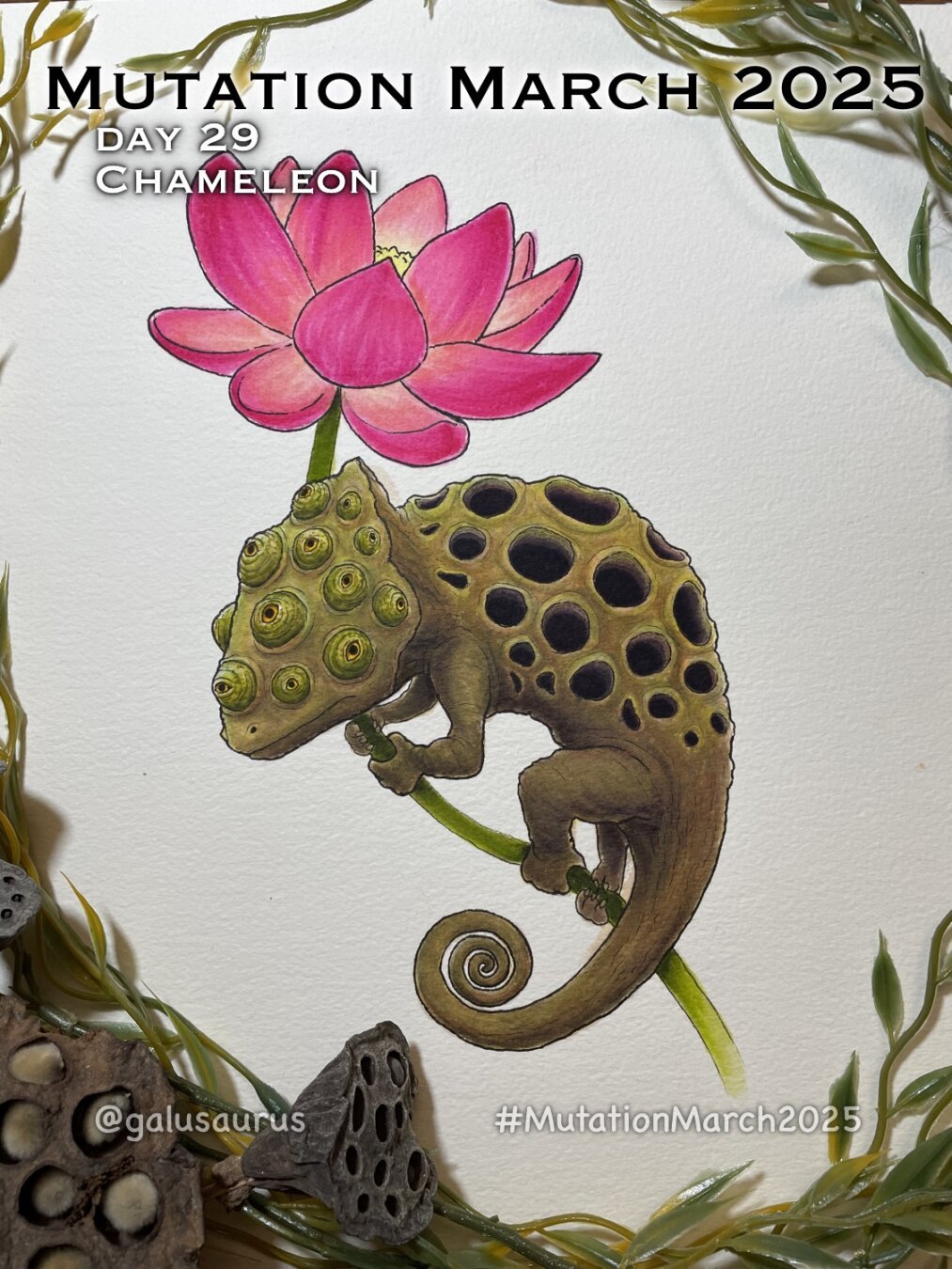 "Mutation March 2025, day 29 - chameleon." Marker and watercolor illustration of a cursed chameleon--its body is covered in clusters of holes, reminiscent of a lotus seed pod, and its head is covered in chameleon eyes. It is clinging to a pink lotus flower.