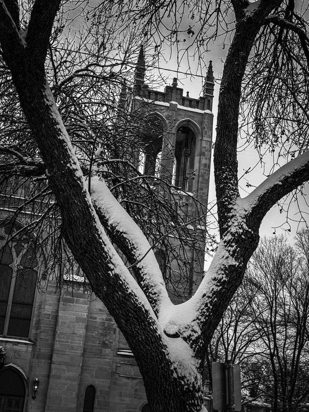 A snow-covered tree branch is prominent in the foreground, with a gothic-style tower visible in the background. The image is in black and white, giving it a somber, wintery feel.