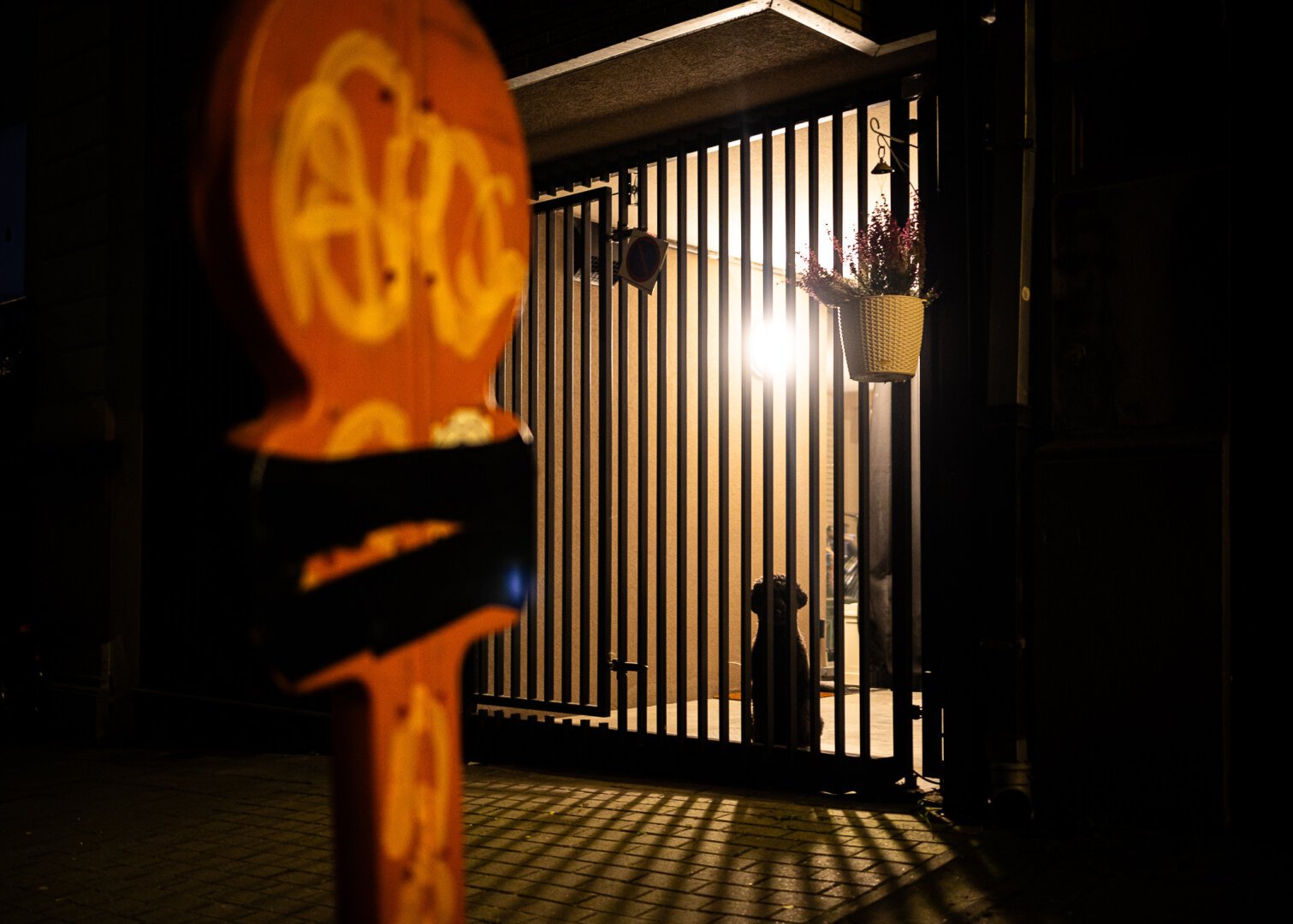 A dog is seating patiently in the dark at night, behind a gate made of metal bars, which is protecting his masters' house. A lamp which an orange glow located behind the dog reveals his silhouette and the bars of the gate and reflects them in a graphic fashion on the pavement. The back of an orange sign post  - the type of which are typically used in Brussels for signalling a temporary parking ban - is recognisable in the foreground on the left; it is covered by yellow graffitis and two pieces of black tape that lead into the scene. All of these elements give a mysterious atmosphere to the scene.