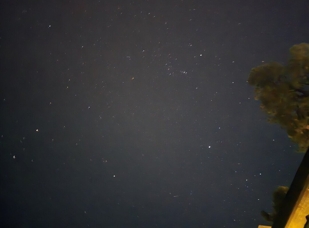 The planets aligned up in the sky with the stars, pine tree tops on right side of picture