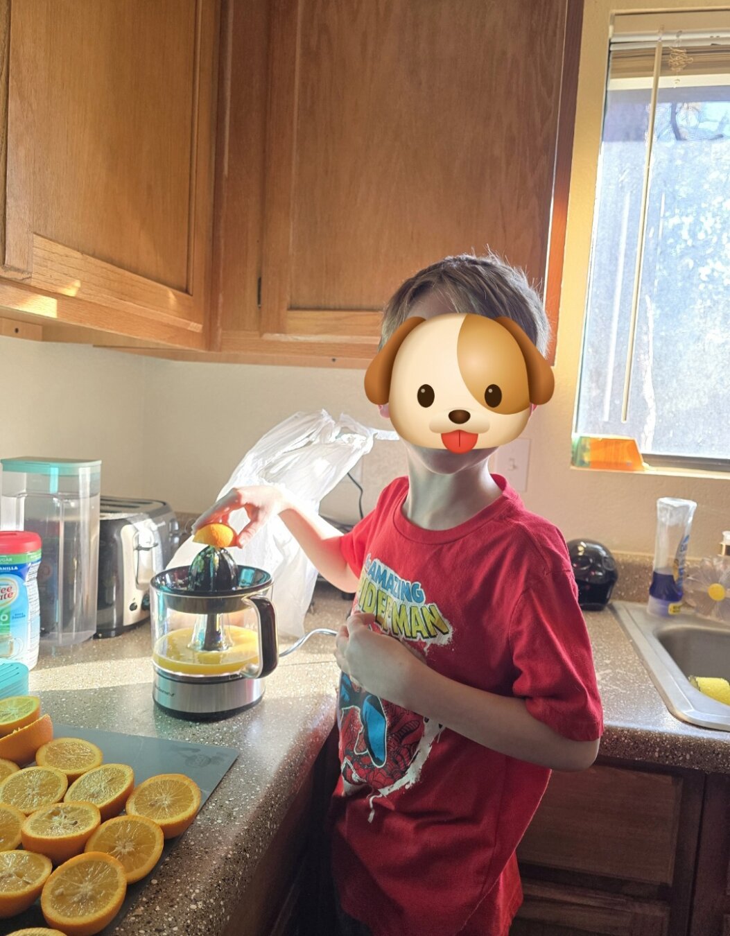 Little boy making oranges juice