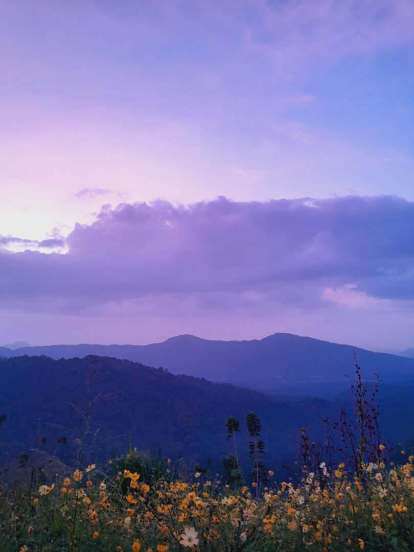 Beautiful scenery of a mountain and flowers.


#photography #mountain #flowers #sunset #purple_sky #natute