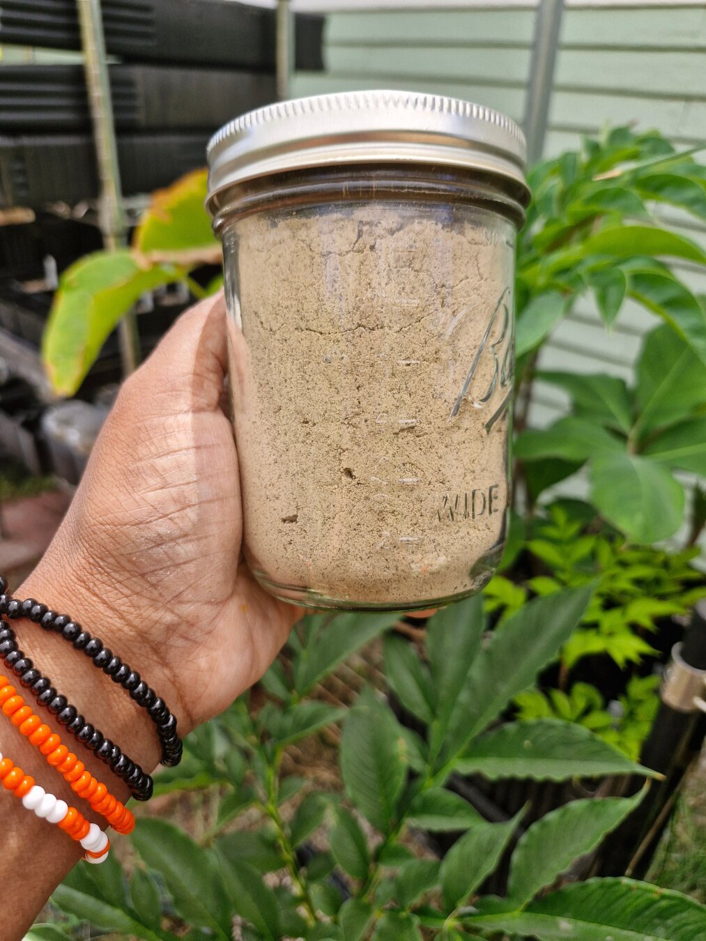 We see a Black person's hand and part of their arm, beads are on their wrist as they hold a mason jar full of acorn flour in a backyard.