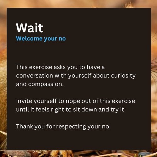 This page says wait, welcome your no. It also says This exercise asks you to have a conversation with yourself about curiosity and compassion.

Invite yourself to nope out of this exercise until it feels right to sit down and try it.

Thank you for respecting your no.