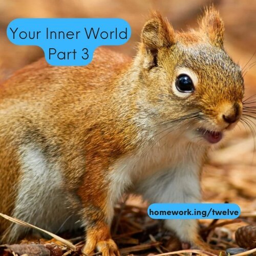 a closeup of a squirrel with the url hope work dot i n g slash twelve and the words your inner world part 3 superimposed.