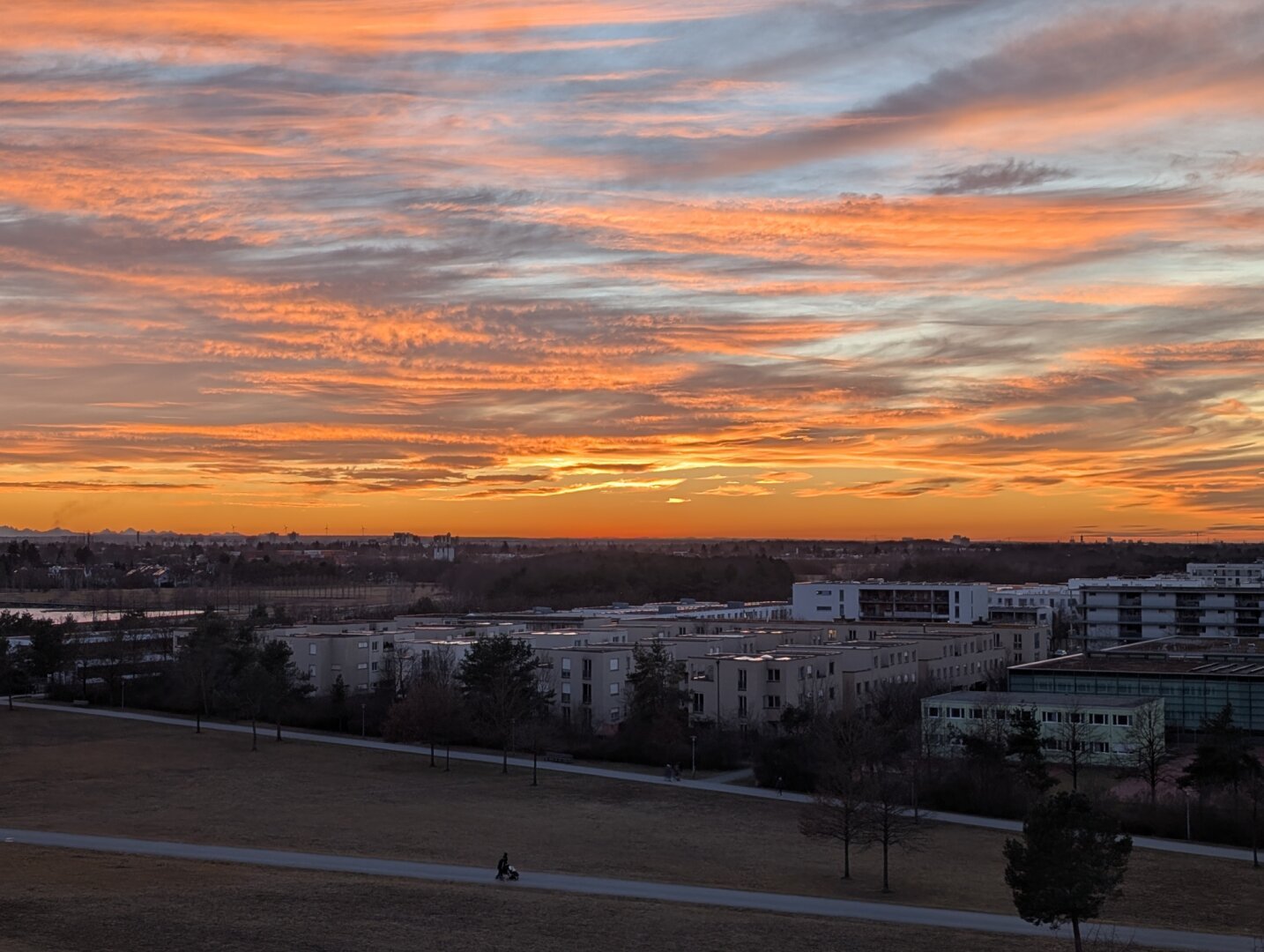 orange clouds above the park