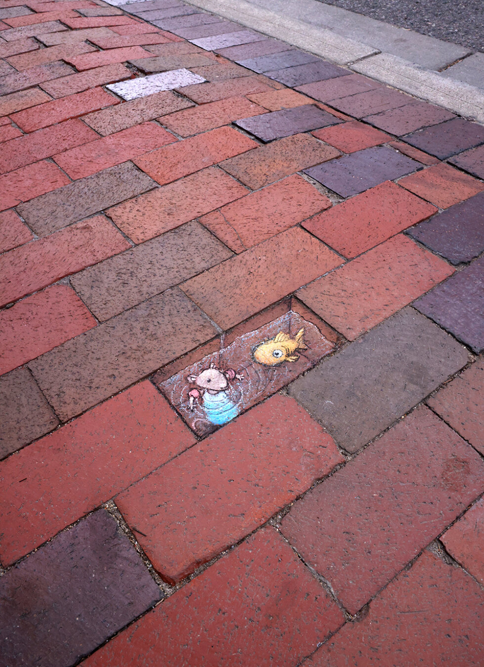 sidewalk chalk drawing of a mouse in a blue dress and a goldfish swimming in a puddle created by a "missing" brick