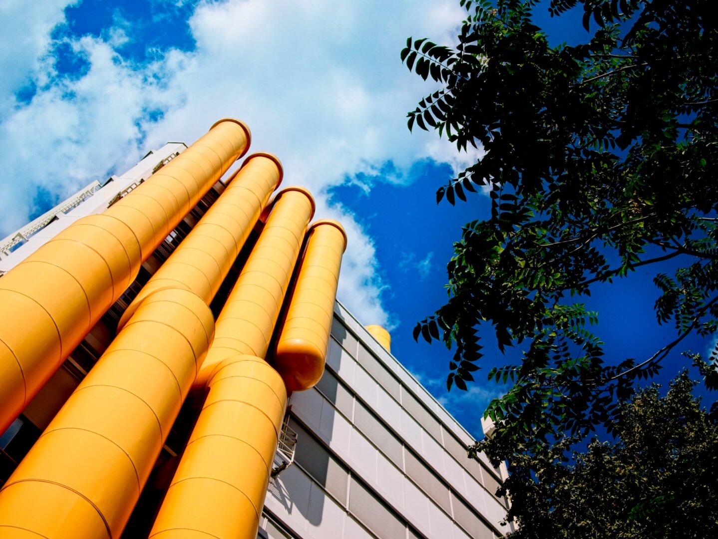 Close up, looking up, of a group of three large yellow tubes snaking up into the birght blue sky, with a few clouds and dark leaves of a tree on the rightside of the photo.
