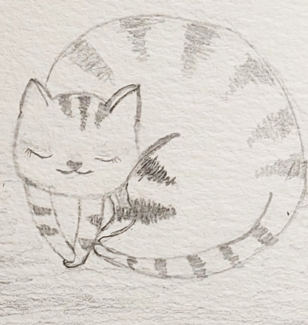 Sleeping cat in a roll, a simple sketch with pencil.