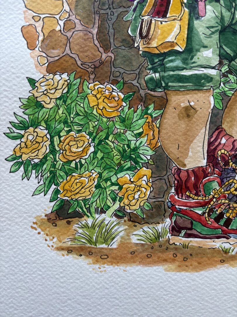Watercolor illustration of a figure leaning against an old stone wall in the middle of a rose garden checking a reference book - detail of their shoes, some roses and a gravel path
