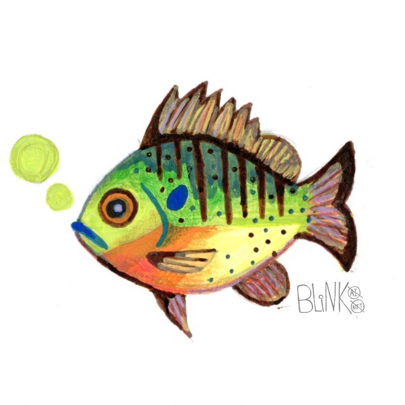a colorful mixed-media traditional painting of a bluegill (fish).