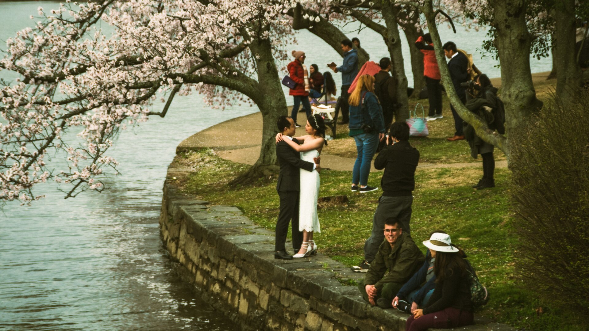 A couple in embrace on the edge of a body of water, under cherry blossoms.