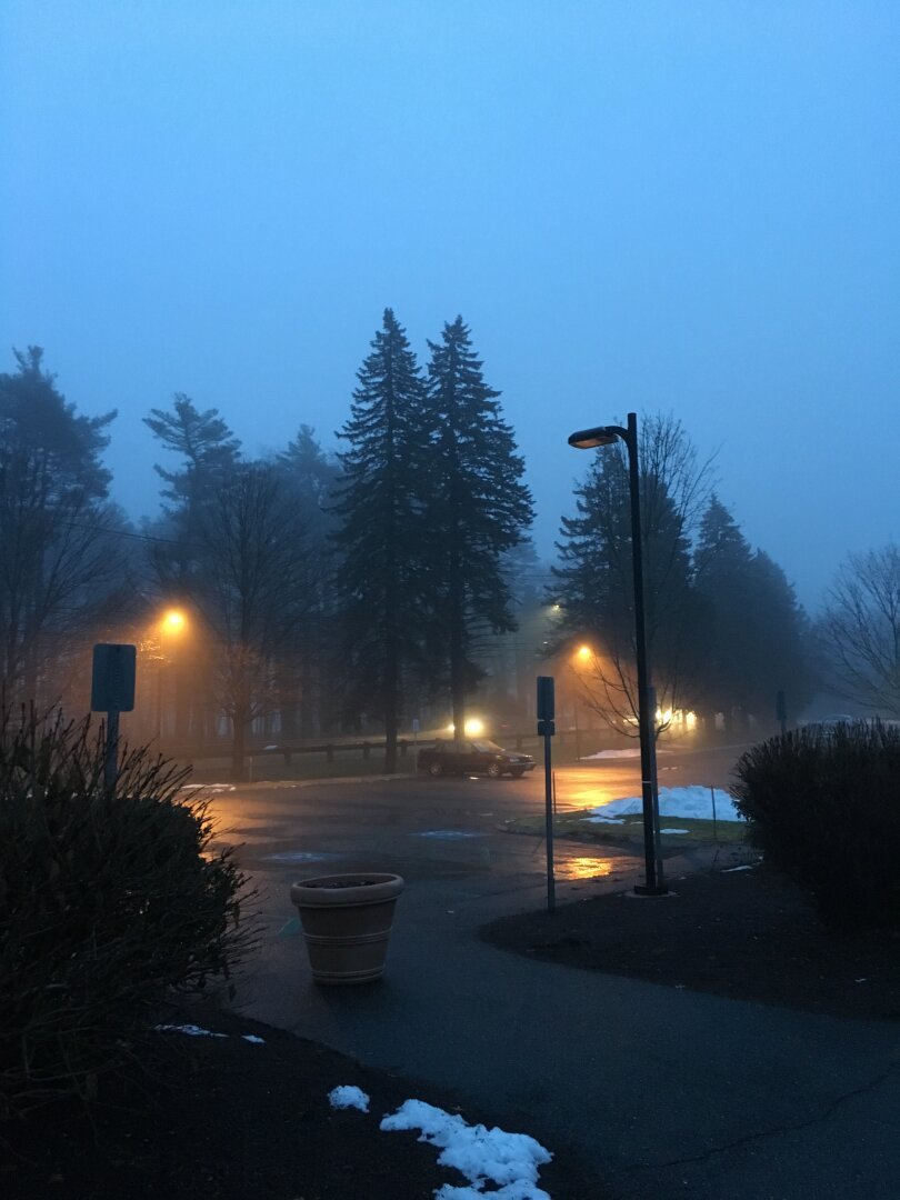 Parking lot with some pine trees and yellow street lights illuminating a cloudy foggy evening.