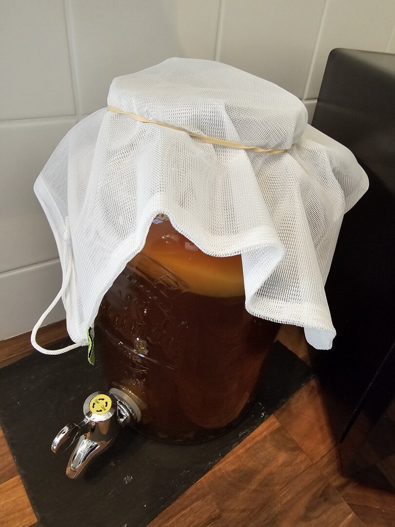 A large 5 litre kilner vessel with a tap at the bottom. It is three quarters full with a sweet tea liquid and the scoby (a light brown coloured gelatinous mass that nearly covers the width of the container) floating on top of the tea. It's covered with a muslin bag secured by an elastic band to let gases escape