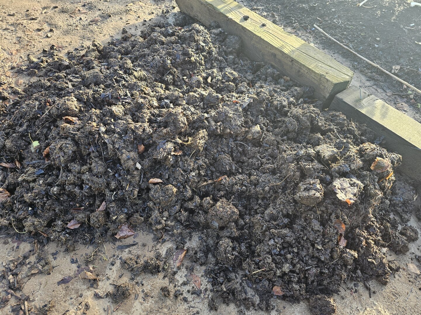 lumpy, homemade compost being formed into a new raised bed on cleared,  bare ground