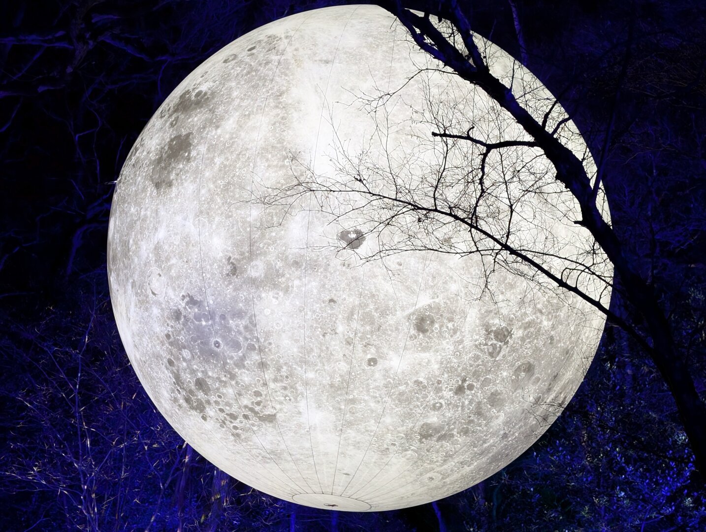 A very large moon with a branch across the top right. 

The moon is fake, probably a balloon