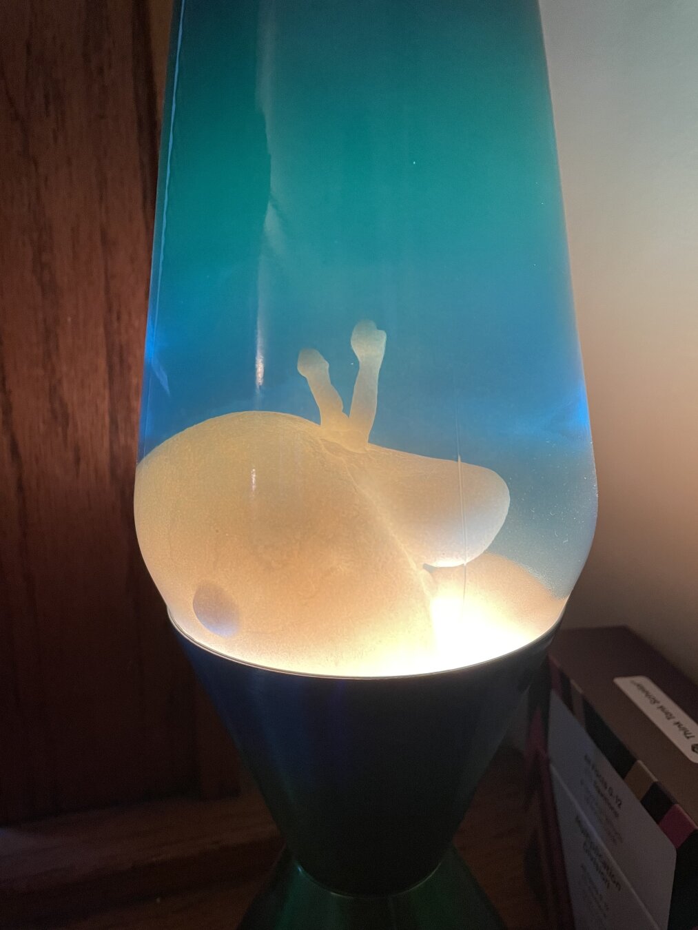 Lava lamp goo at the bottom of the lamp shaped like an animal.