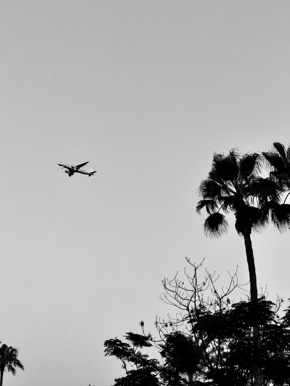 A plane trying to land at Antalya Türkiye