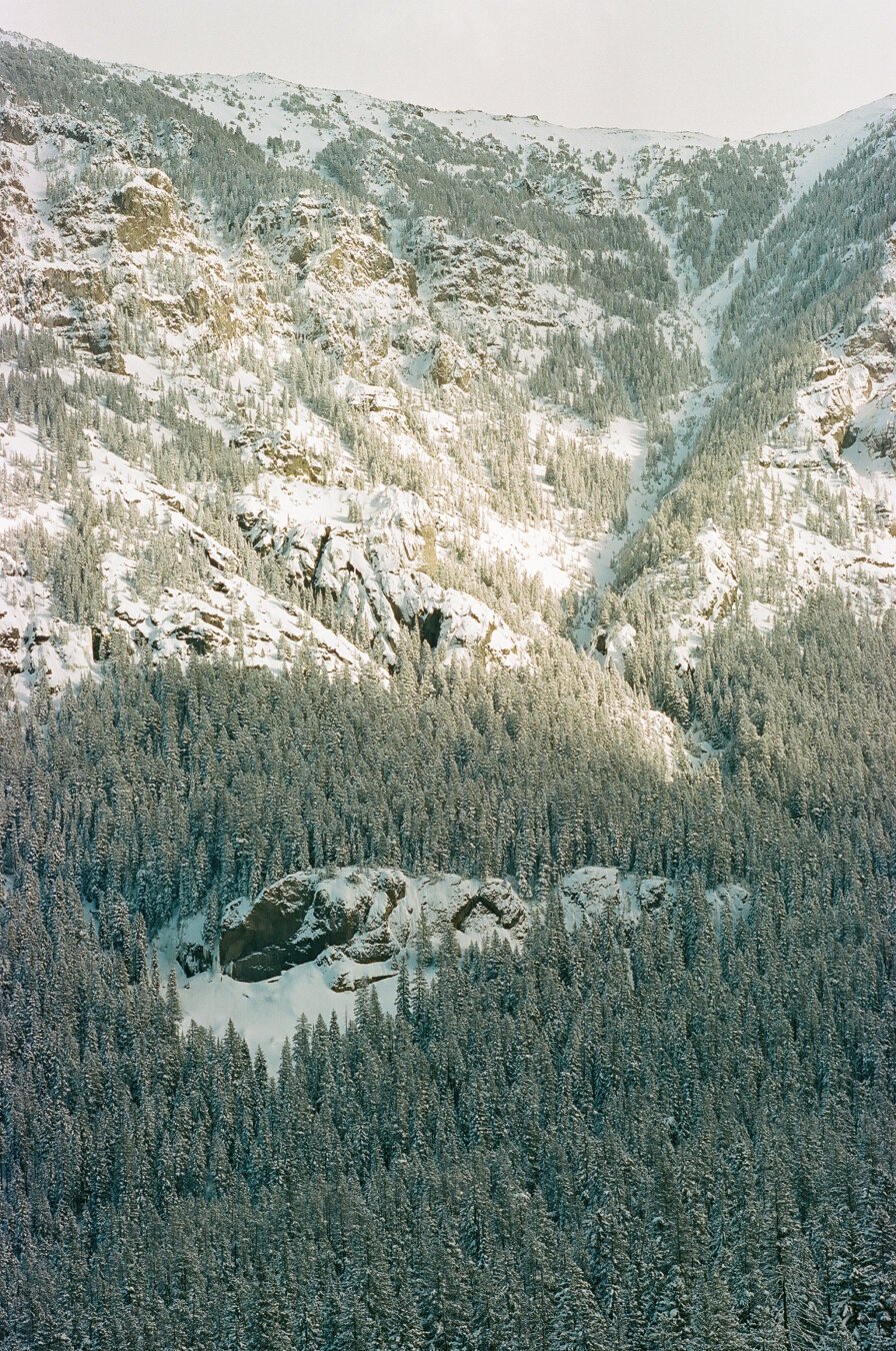 A snowy mountain landscape in Hyalite Canyon with a view towards Flanders Mountain. The foreground is covered with dense, snow-laden evergreen trees. The rocky mountainside rises behind, partially obscured by a light dusting of snow. The sky above is overcast, creating a tranquil winter scene.