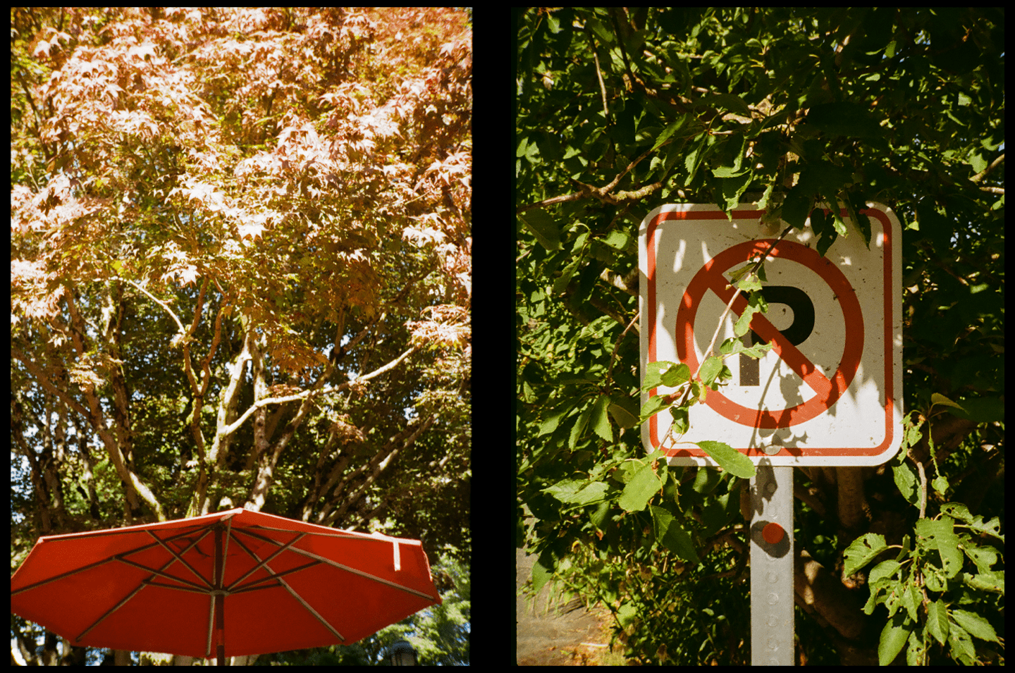 Diptych with two images side-by-side.

Left image is of a red umbrella for a table in an outdoor plaza, taking up the lower part of frame, with red (overexposed) leaves of a tree just above.

Right image is of a "No Parking" sign in a parking lot, with a red outline and red circle with a line through it over a capital P. It is shaded and partly covered by a bush just next to it.