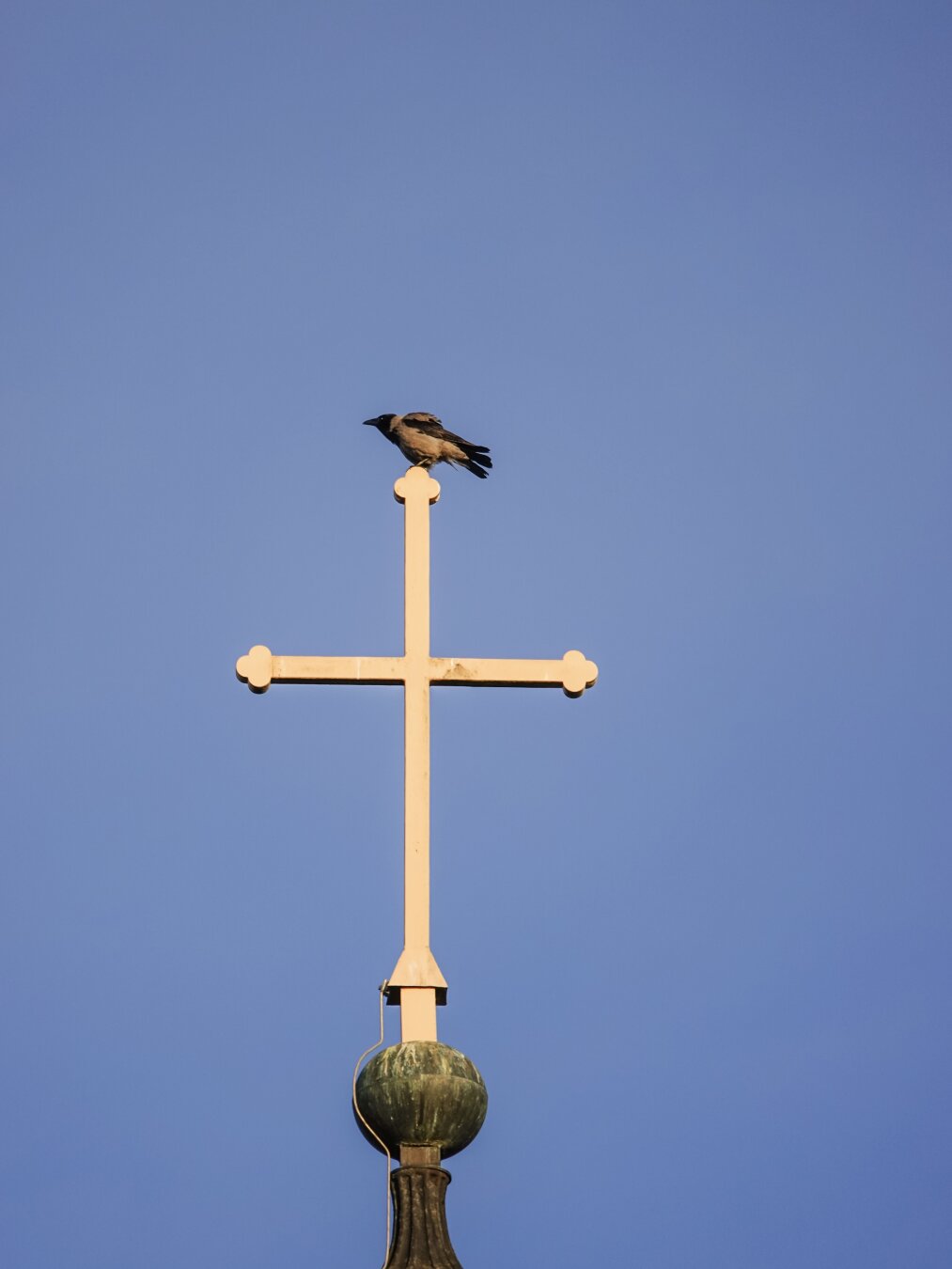 Crow sitting on top of the church spire’s cross