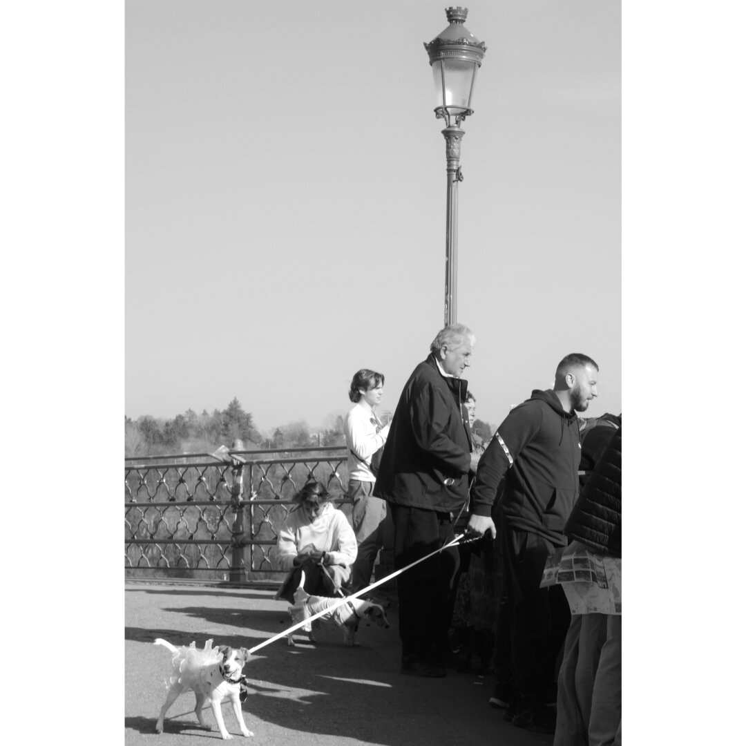 Black and white street photography taken on the corniche in Luxembourg city. A few tourists stare at the view, next to a light post. On the bottom left corner a small dog, at the end of a leash, wears a tutu.