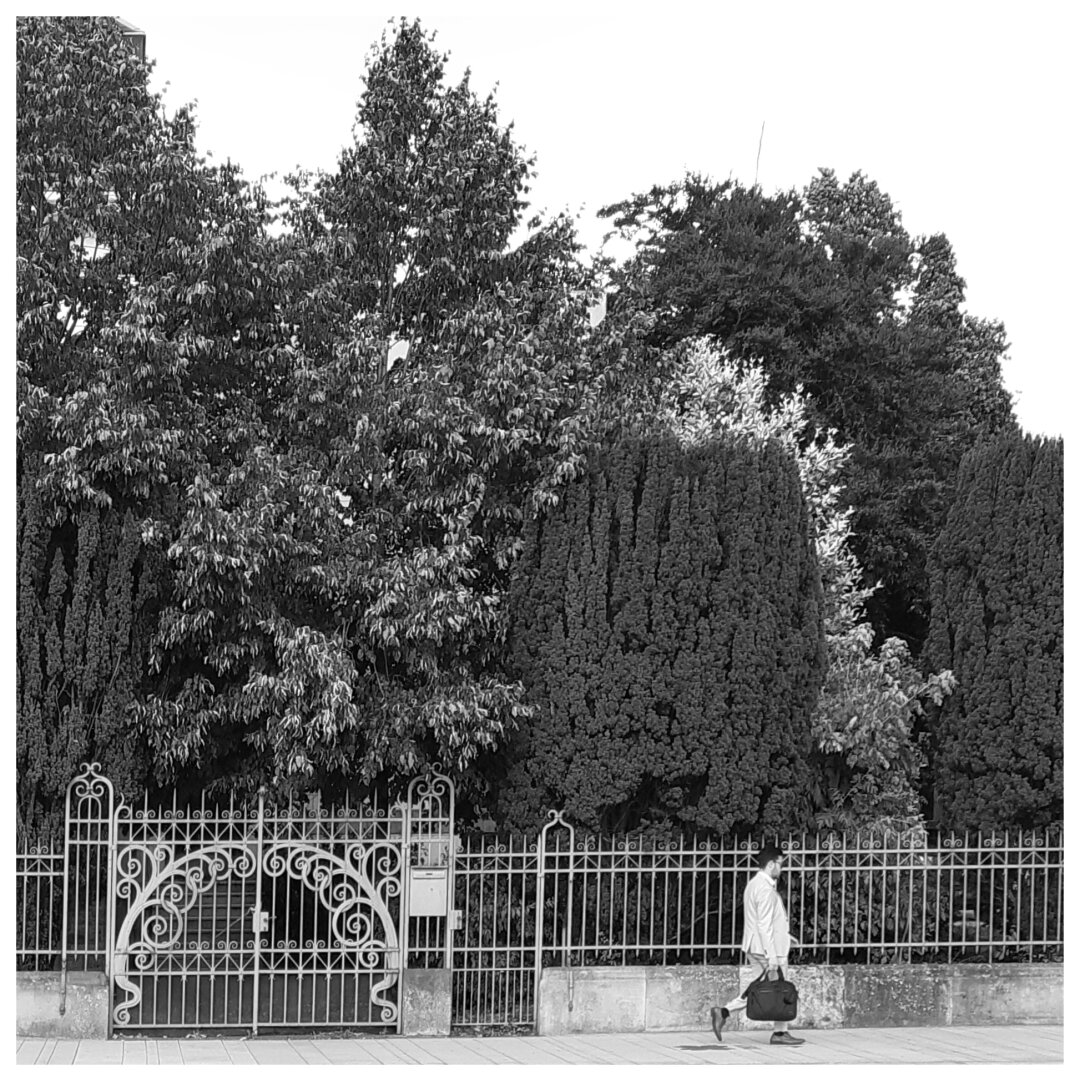 Black and white street photography taken in Luxembourg city showing a man dressed in white with a dark case passing by a tall hedge composed of many different vegetal species. On the left of the frame there is a white iron gate.