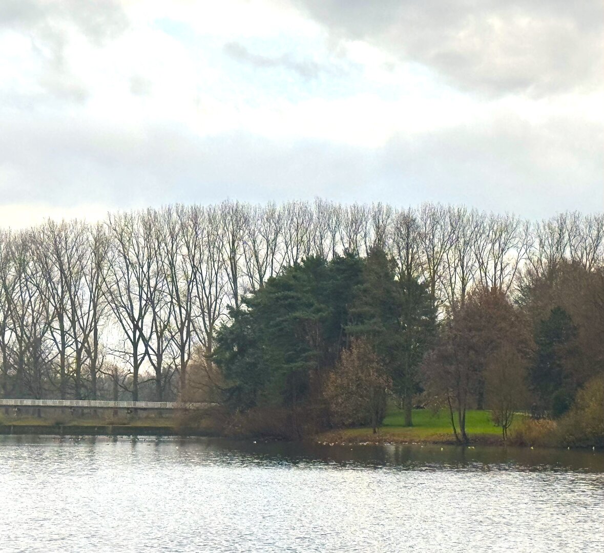 Blick über einen See, im Hintergrund Baumreihen