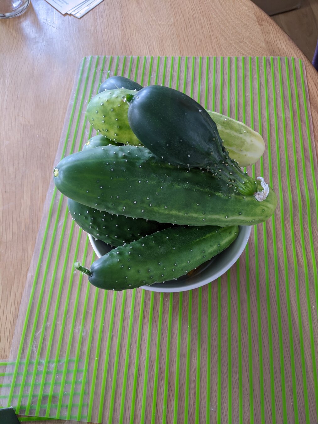 Freshly plucked cucumbers