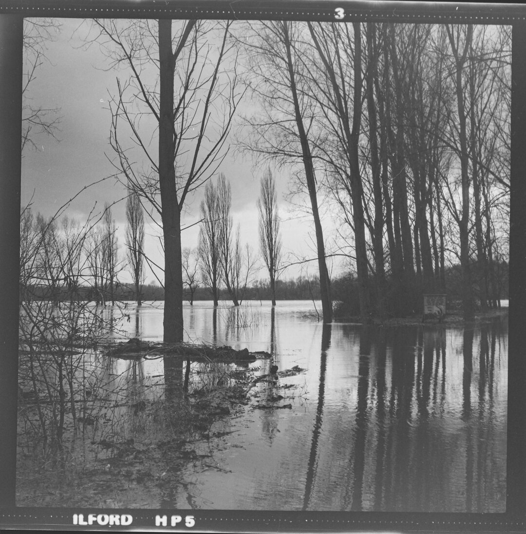 Altrhein bei Hochwasser