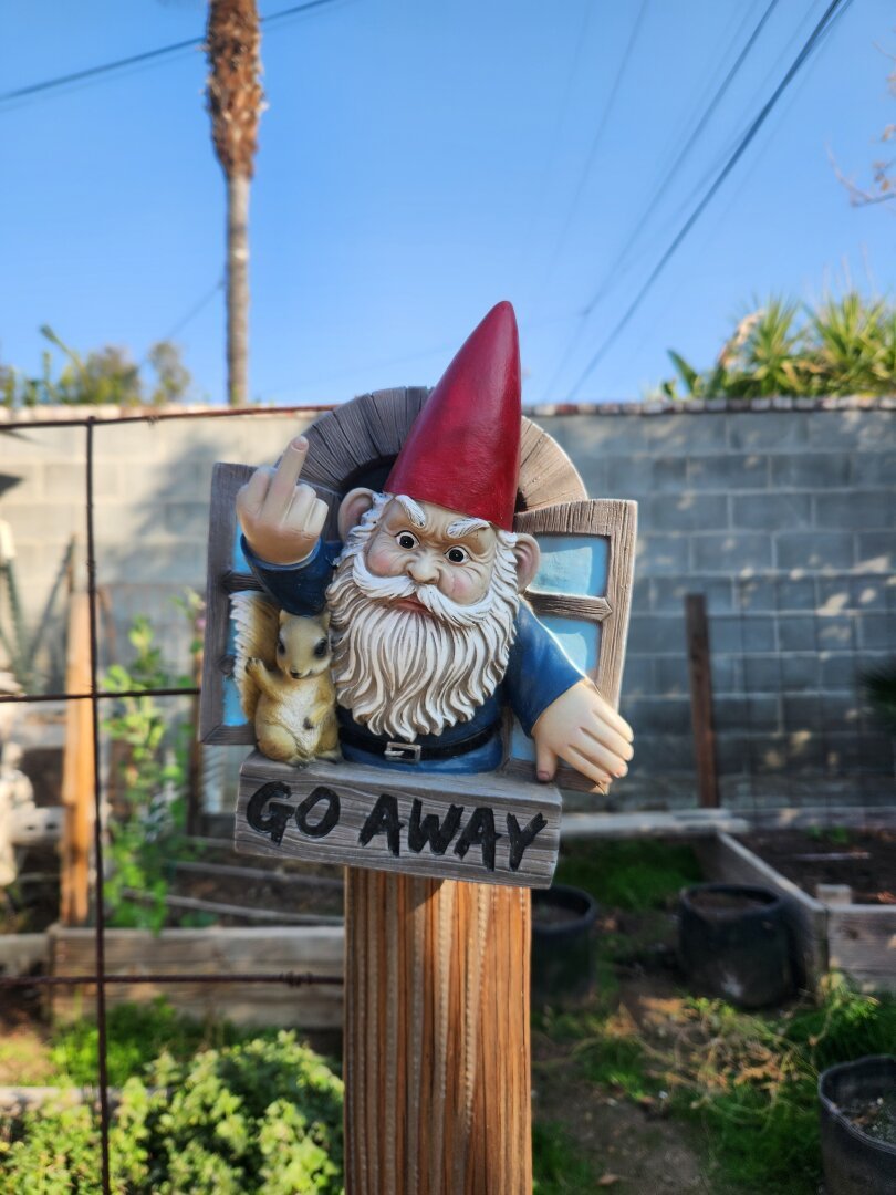 gnome and squirrel flipping the bird on a placard with 