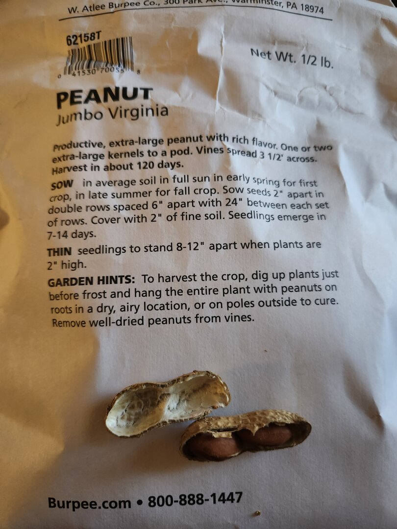 An open peanut on top of a bag of 