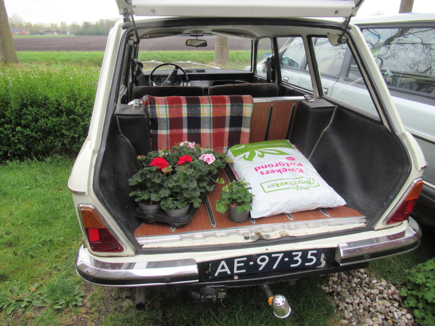 Peugeot 204 Break plantjesdag
