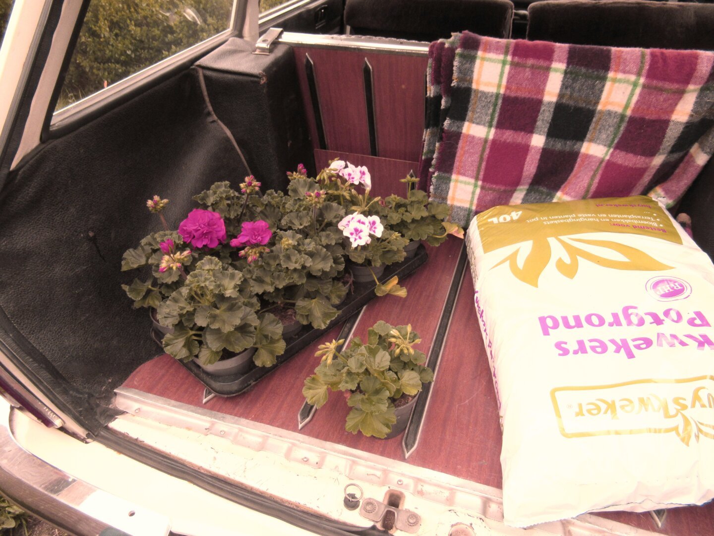 Peugeot 204 Break plantjesdag