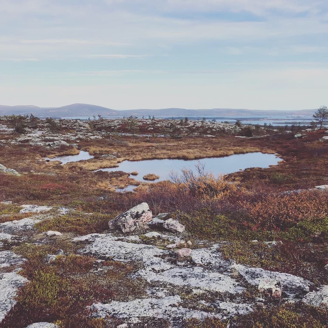 September view from a fell in Finnish Lapland. There’s rock and a puddle with silhouetted fells in the horizon.