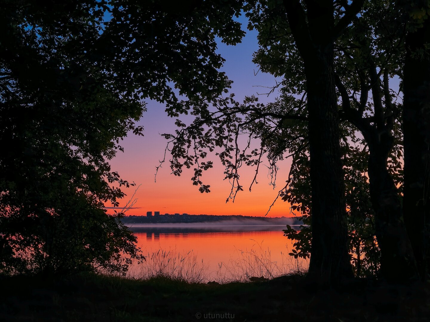 Posted media